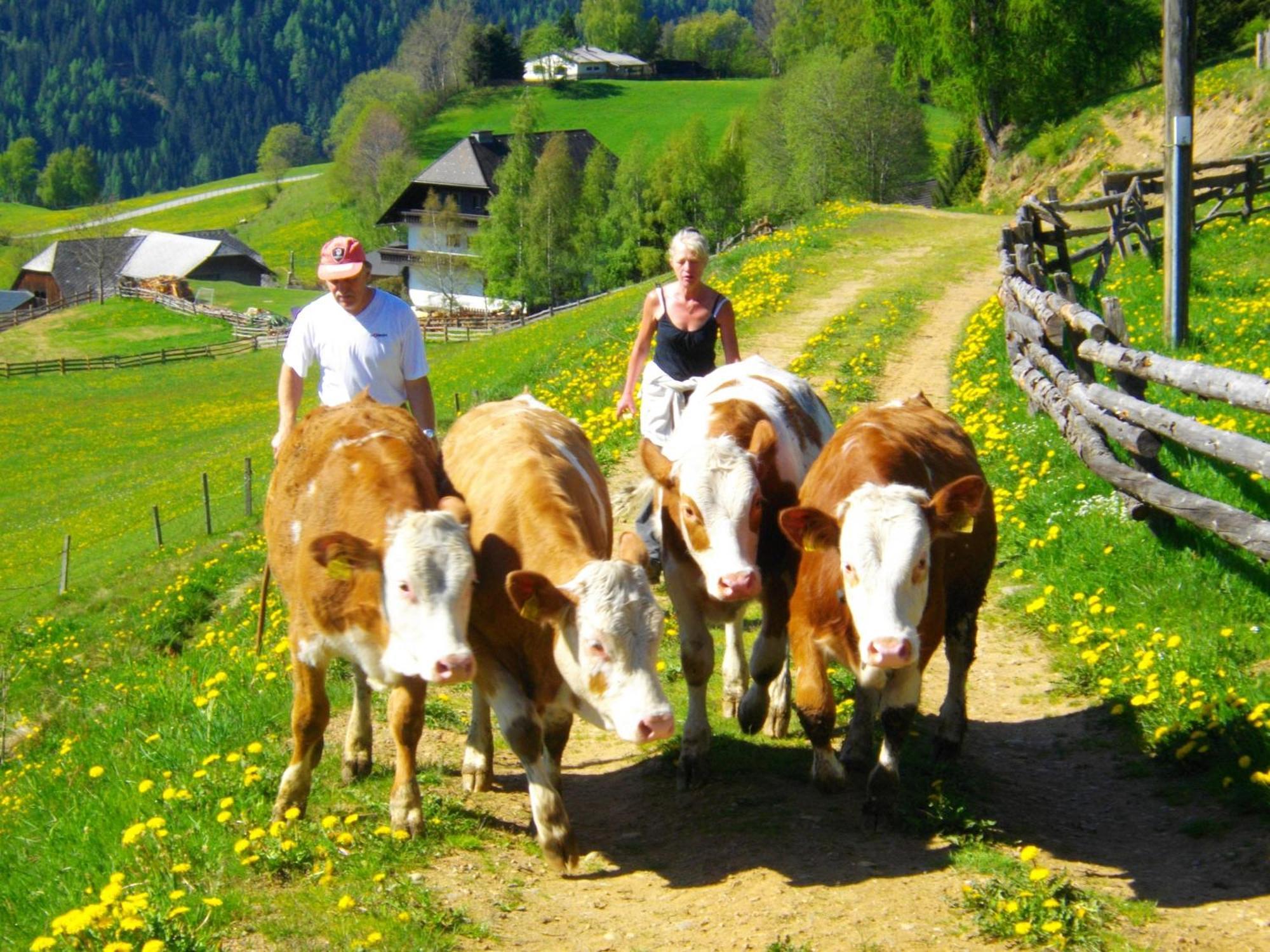 Gaestehaus Bischof Schöder Esterno foto