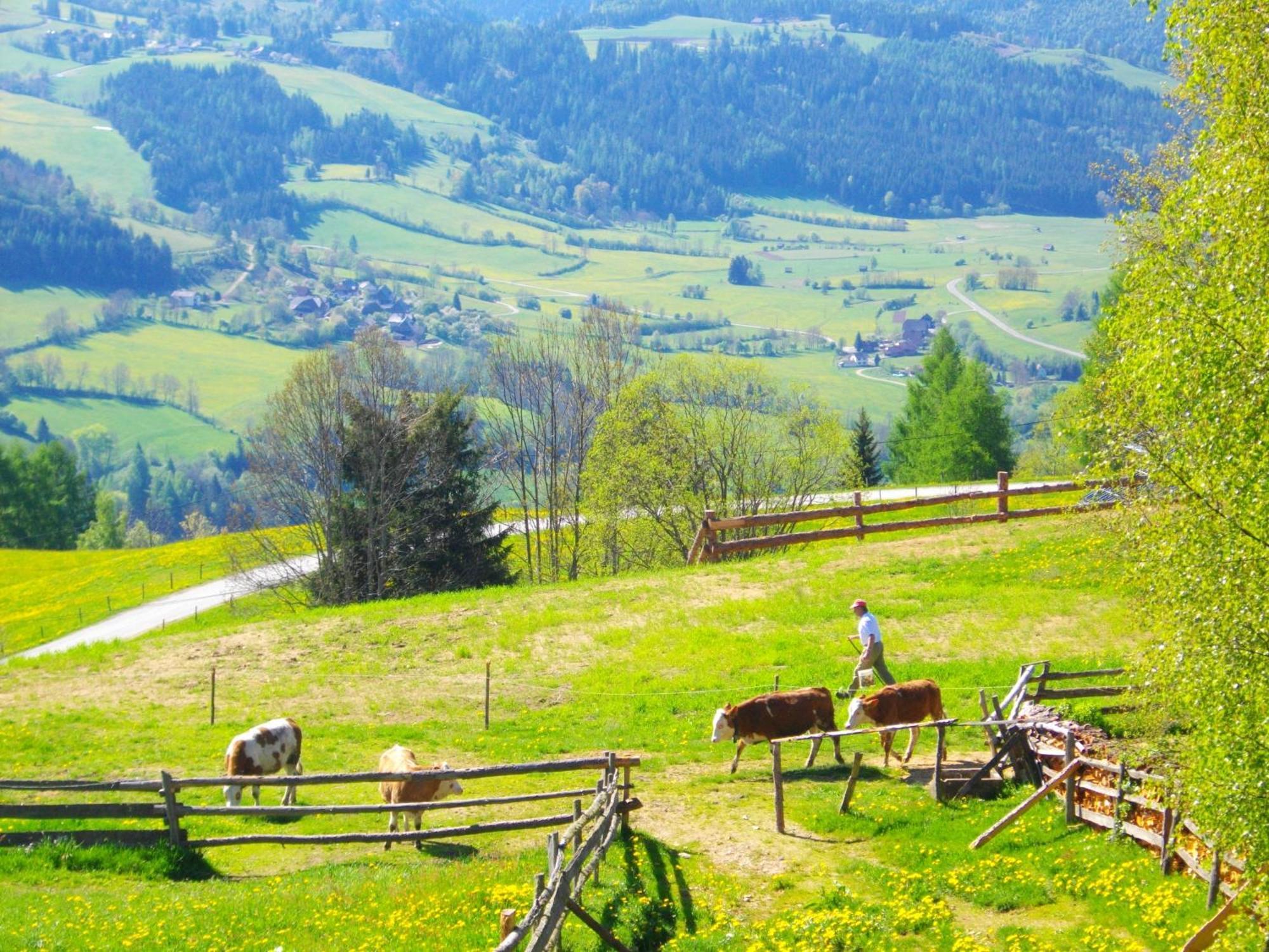 Gaestehaus Bischof Schöder Esterno foto